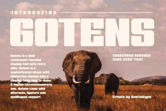 Gotens: Evaluating a Display Typeface for Real Design Work