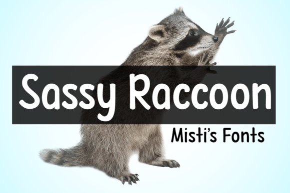 Sassy Raccoon Font Review: A Playful Display Typeface for Branding Work