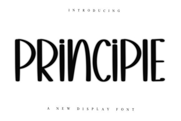 Testing Principle: A Display Font That Brings Elegance to Web Layouts